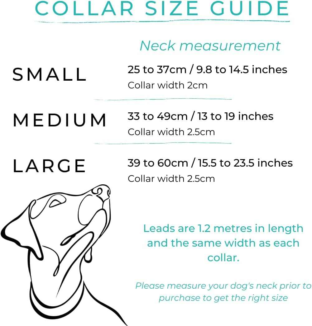 Sustainable Dog Collar and Lead Set – 100% Natural Hemp Collar and Lead